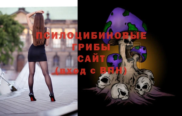 ПСИЛОЦИБИНОВЫЕ ГРИБЫ Навашино