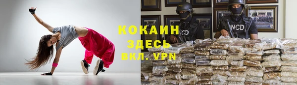 гашик Михайлов
