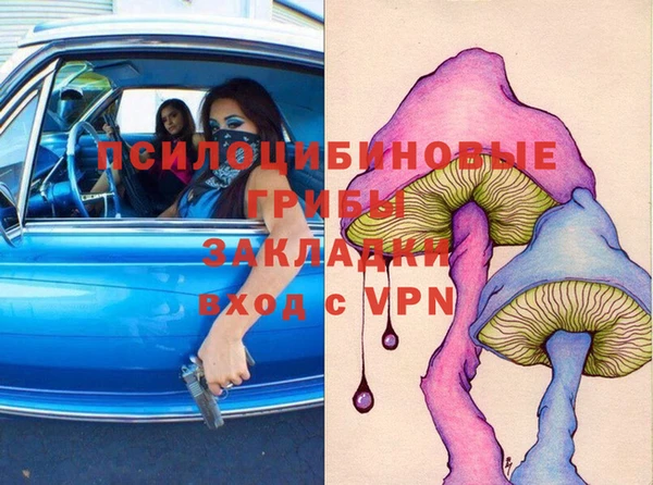 марки lsd Болотное