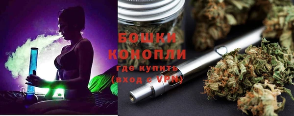 гашик Михайлов
