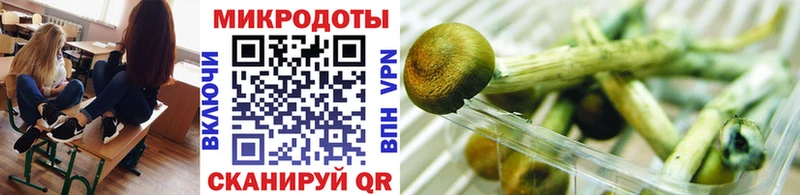 это наркотические препараты  Новочебоксарск  Галлюциногенные грибы Psilocybe  kraken рабочий сайт 