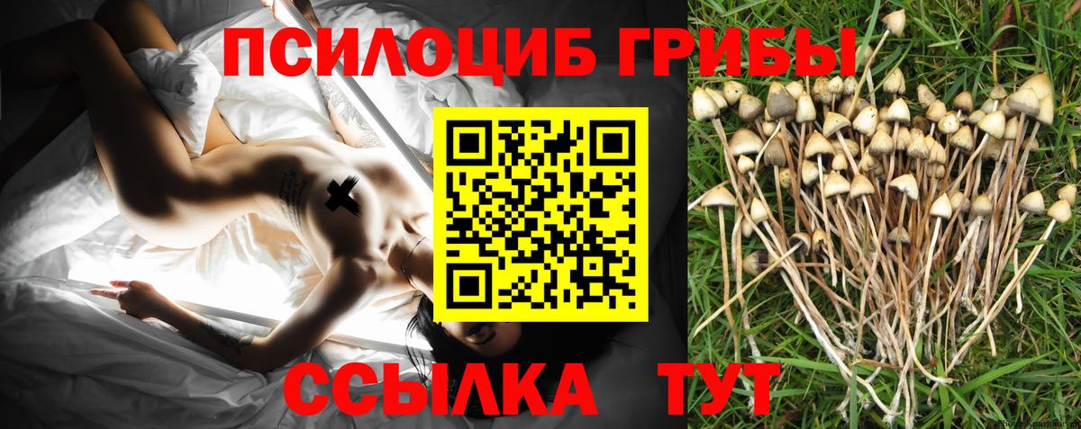Псилоцибиновые грибы ЛСД  Псилоцибиновые грибы ЛСД  Новочебоксарск  Вход с VPN 